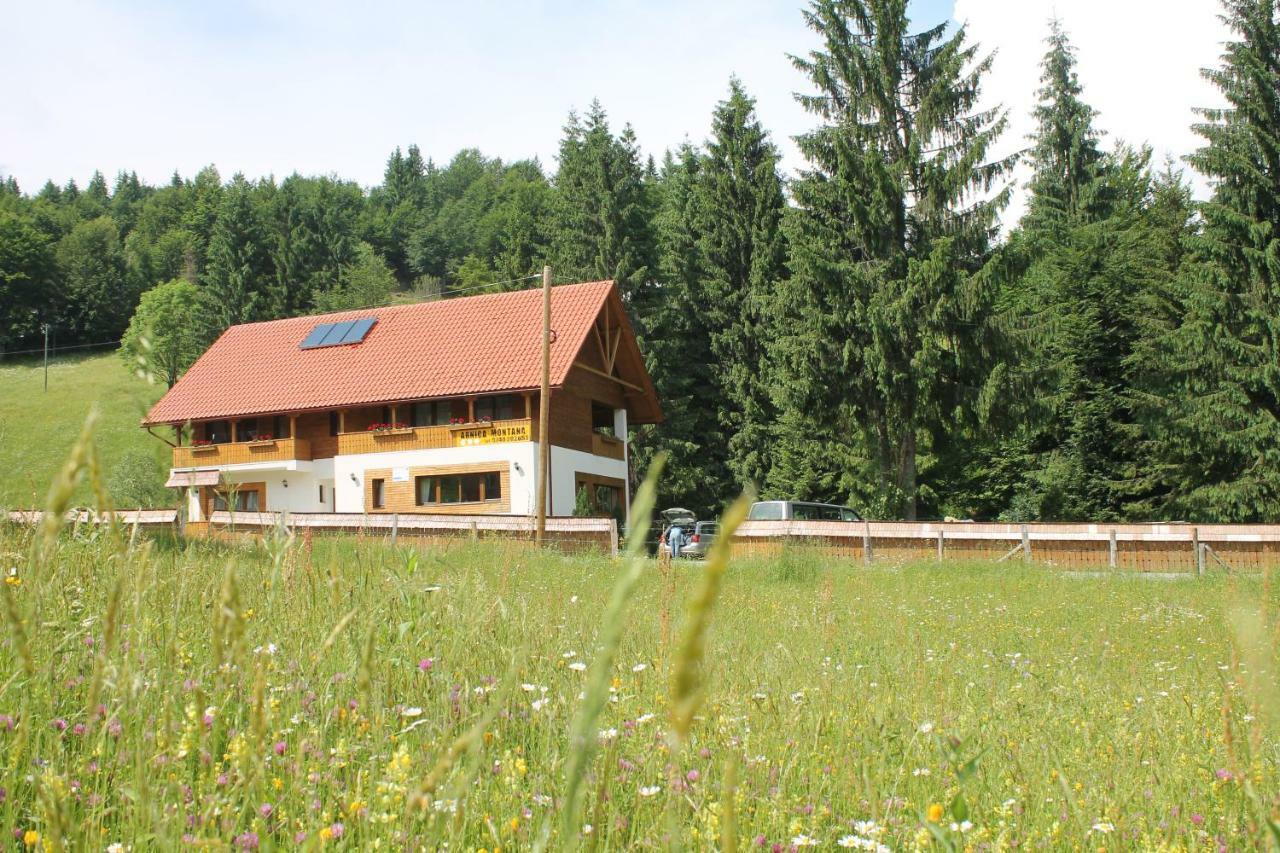 Arieşeni Arnica Montana酒店 外观 照片