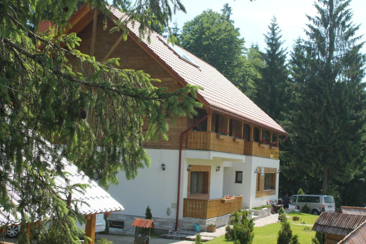 Arieşeni Arnica Montana酒店 外观 照片