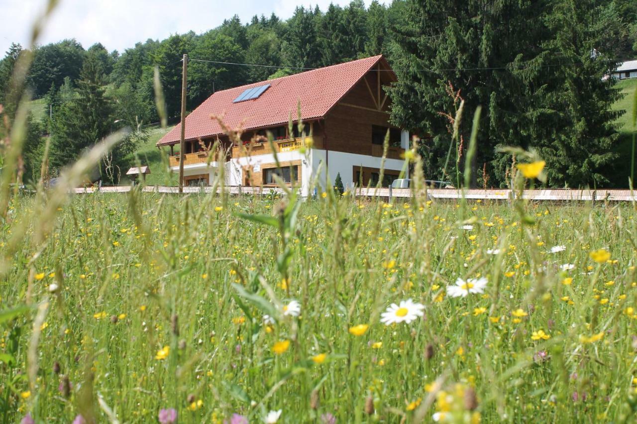 Arieşeni Arnica Montana酒店 外观 照片