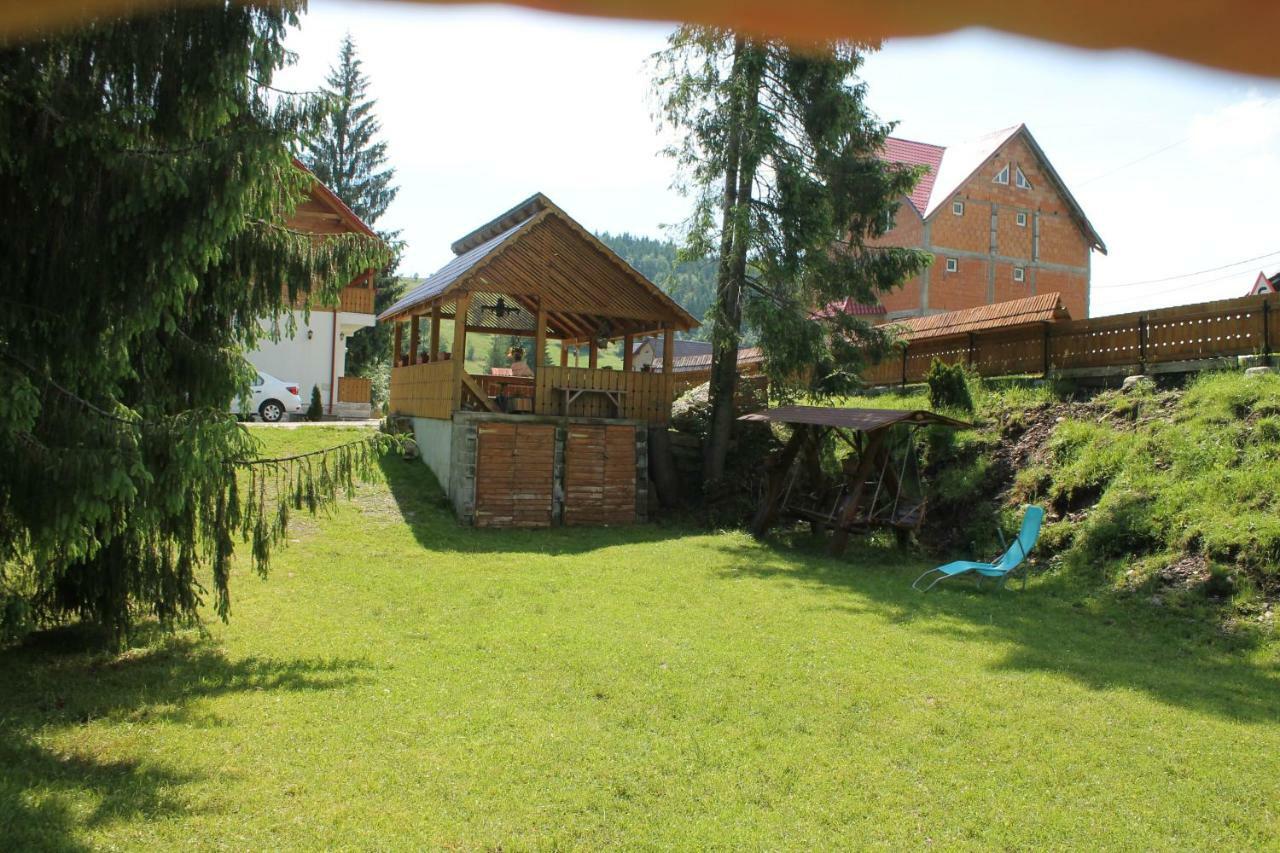 Arieşeni Arnica Montana酒店 外观 照片